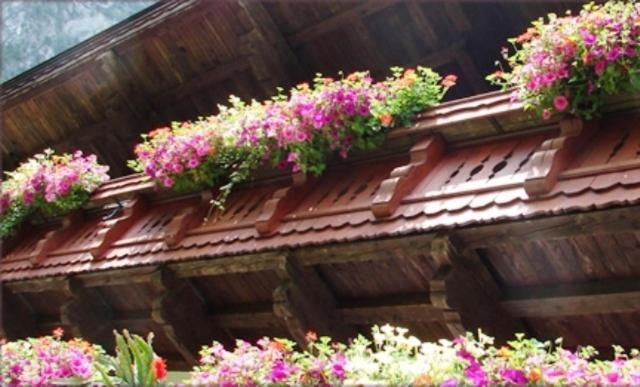 왈츠시 Hinterankerwald 아파트 외부 사진
